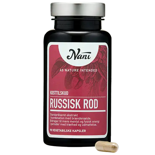 Nani Russisk Rod (90 kaps)