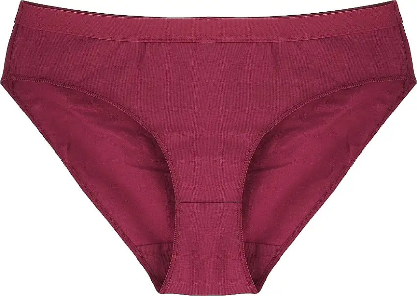 Bikini trusser til kvinder, BDM380-005, bordeaux 47131570