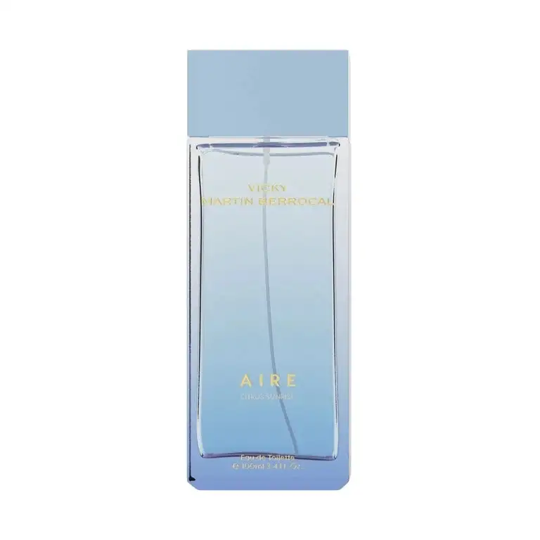 Vicky Martin Berrocal Aire Eau de toilette 100 ml