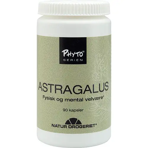 Astragalus