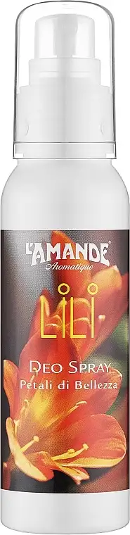 L'Amande Lili 85498538